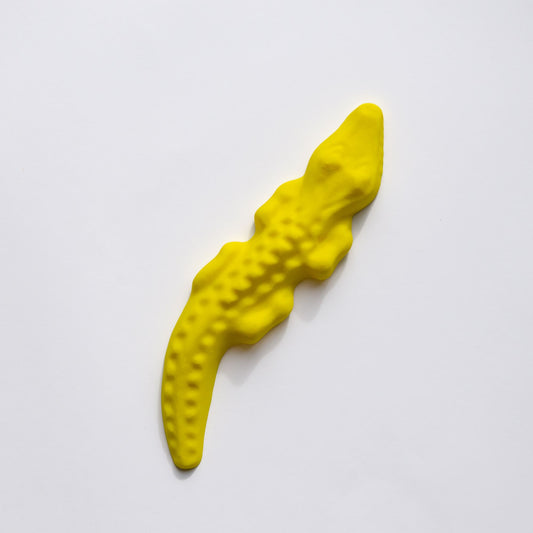 Crocodile